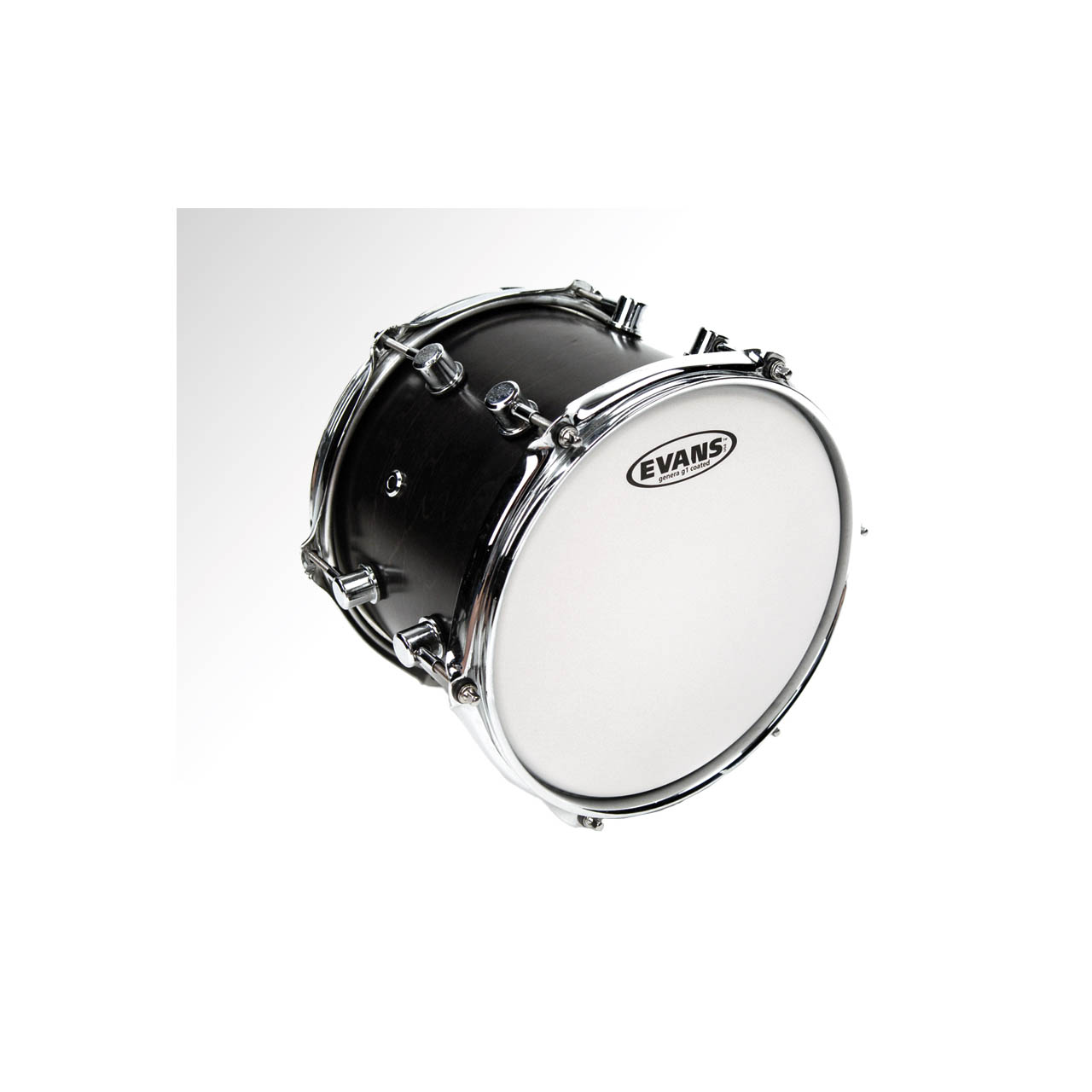 Evans G1 (coated) 13" B13G1