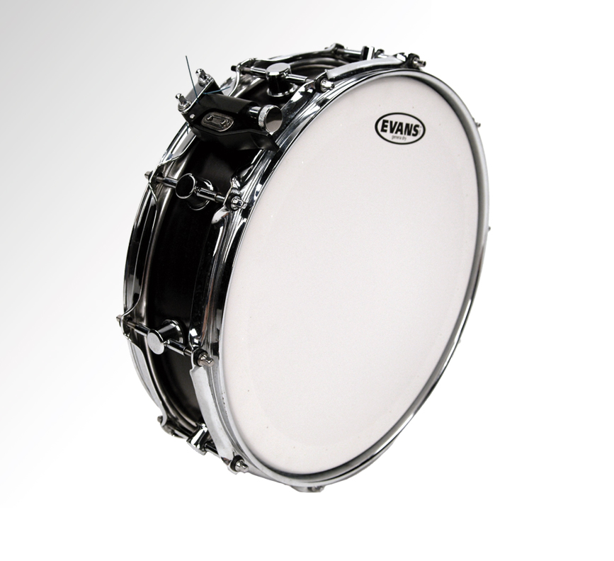 Evans Genera Dry (coated) 13" B13DRY