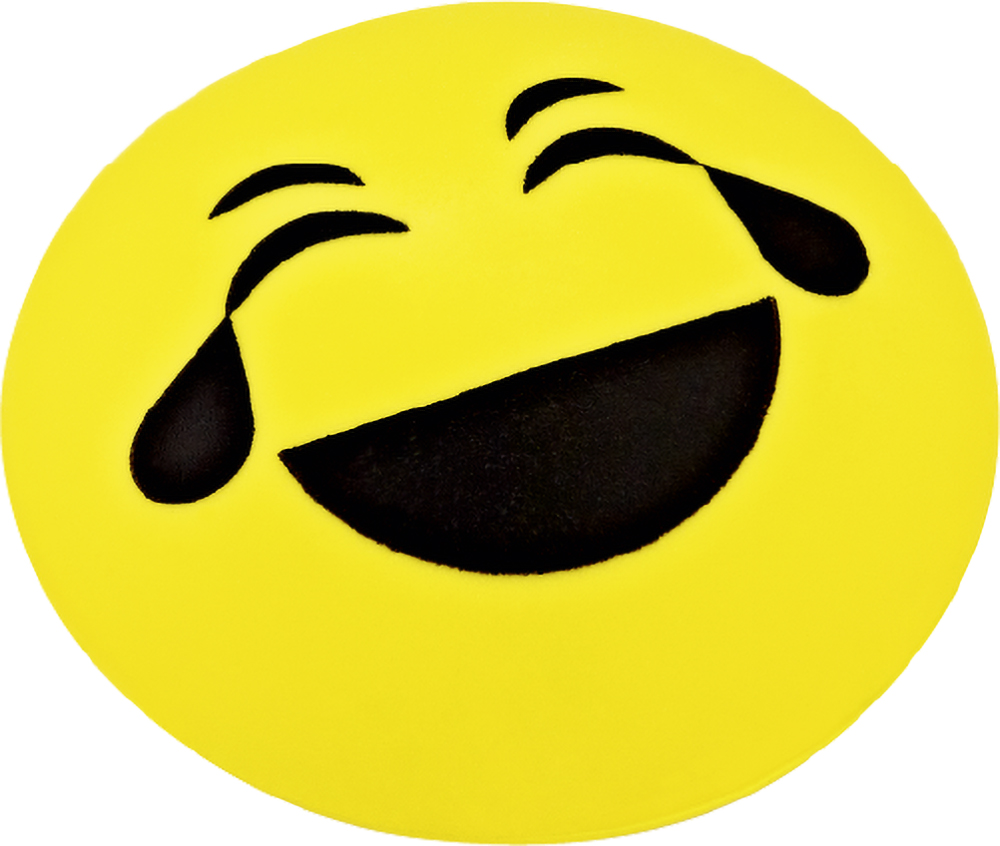 Meinl Face Shaker Laughing FACE-L