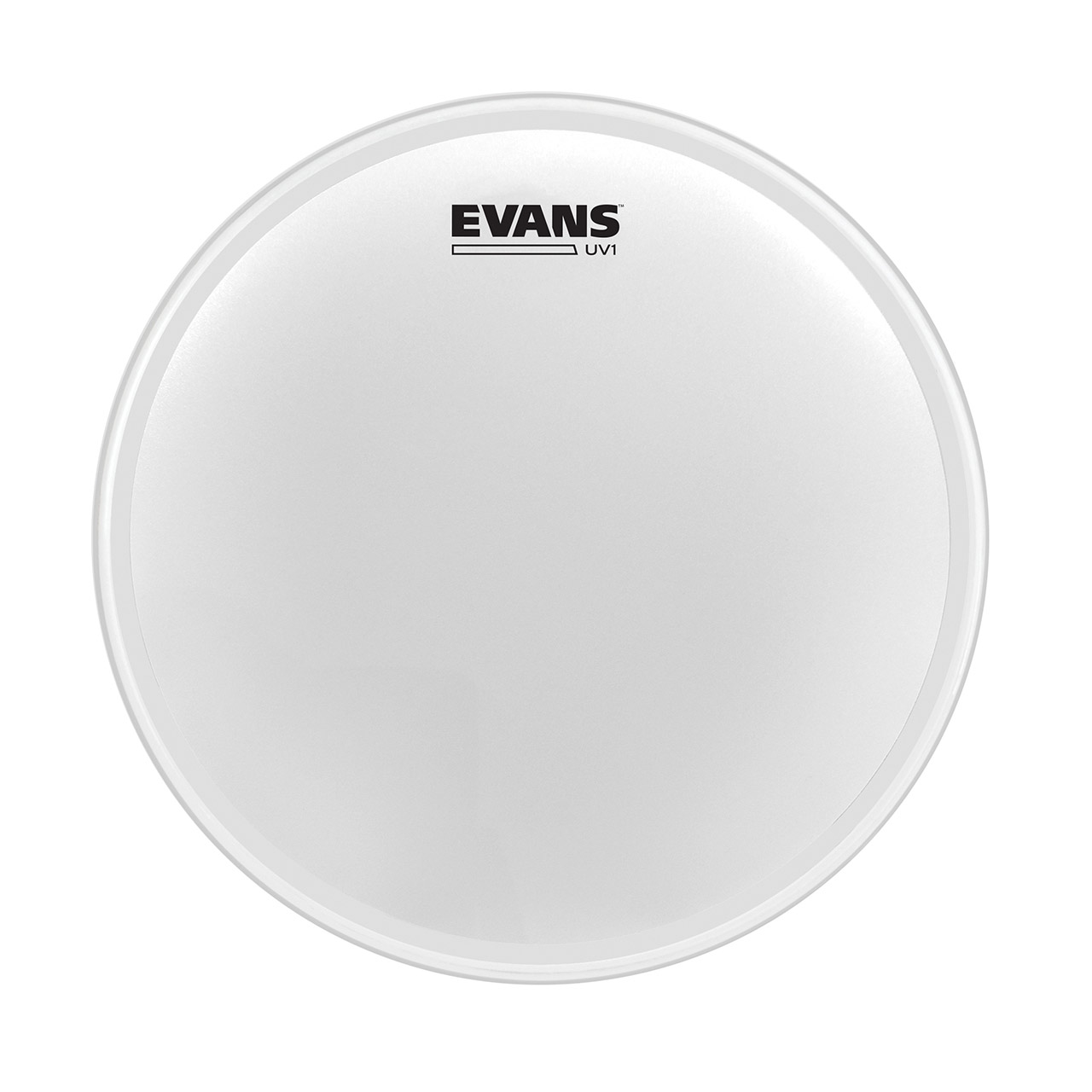 Evans UV1 (coated) 8" B08UV1