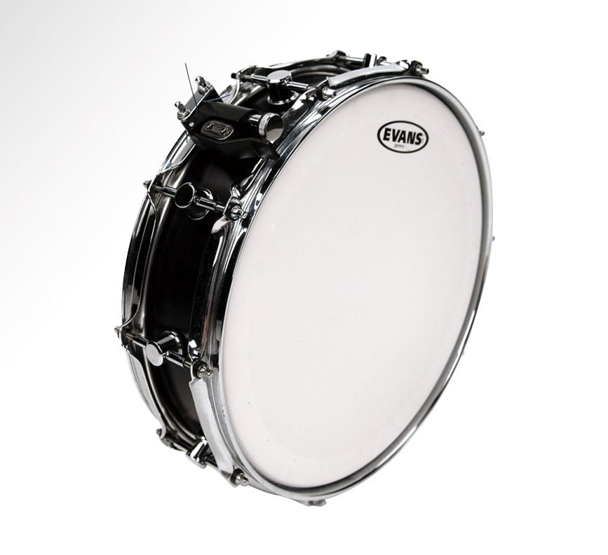 Evans Genera (coated) 13" B13GEN